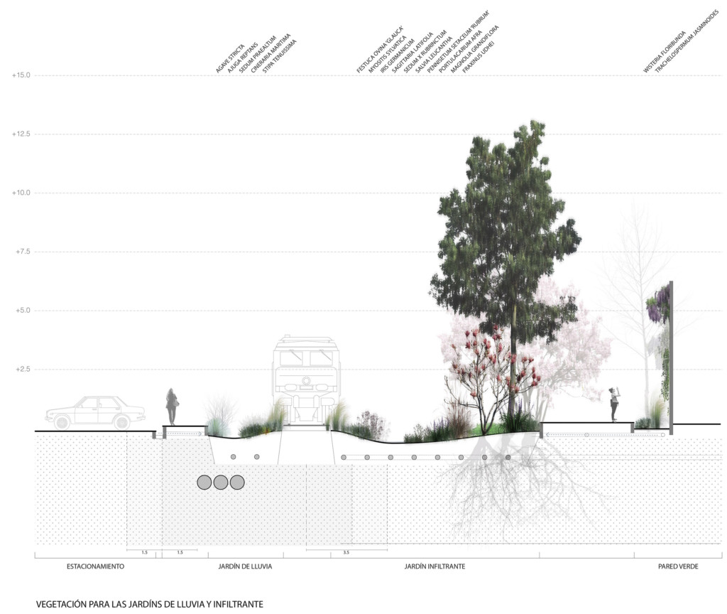 vegetation section bioswale 01122016