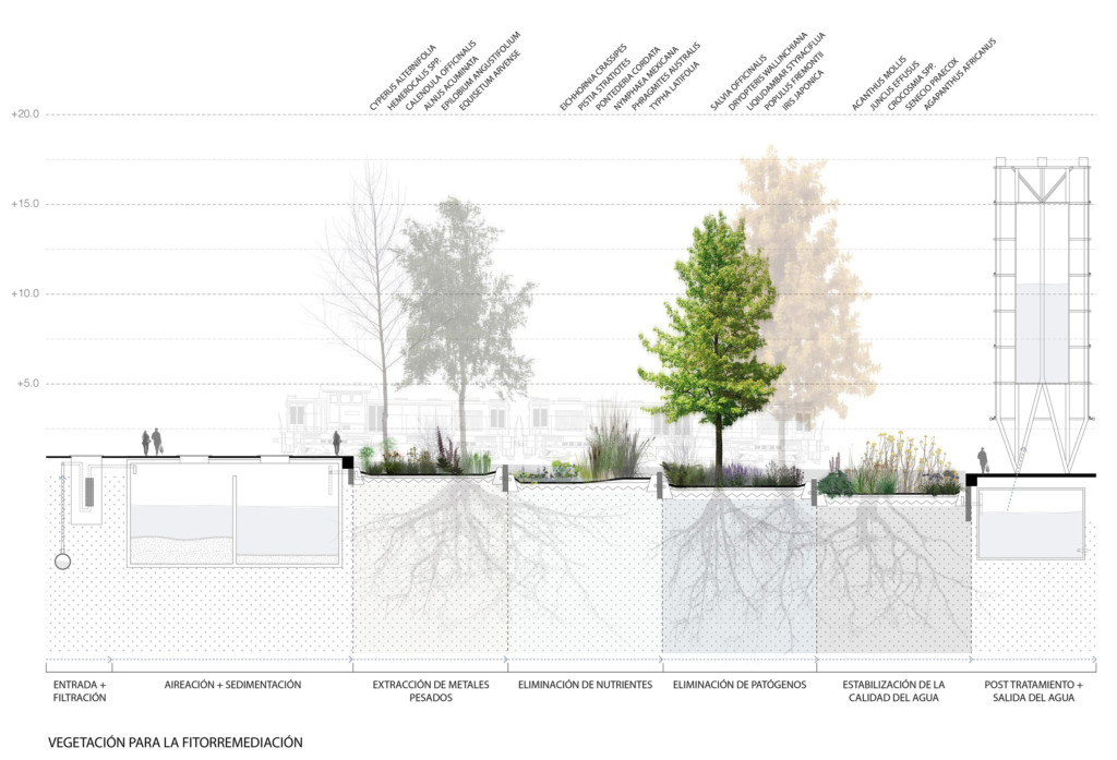 vegetation section phytoremediation 01122016